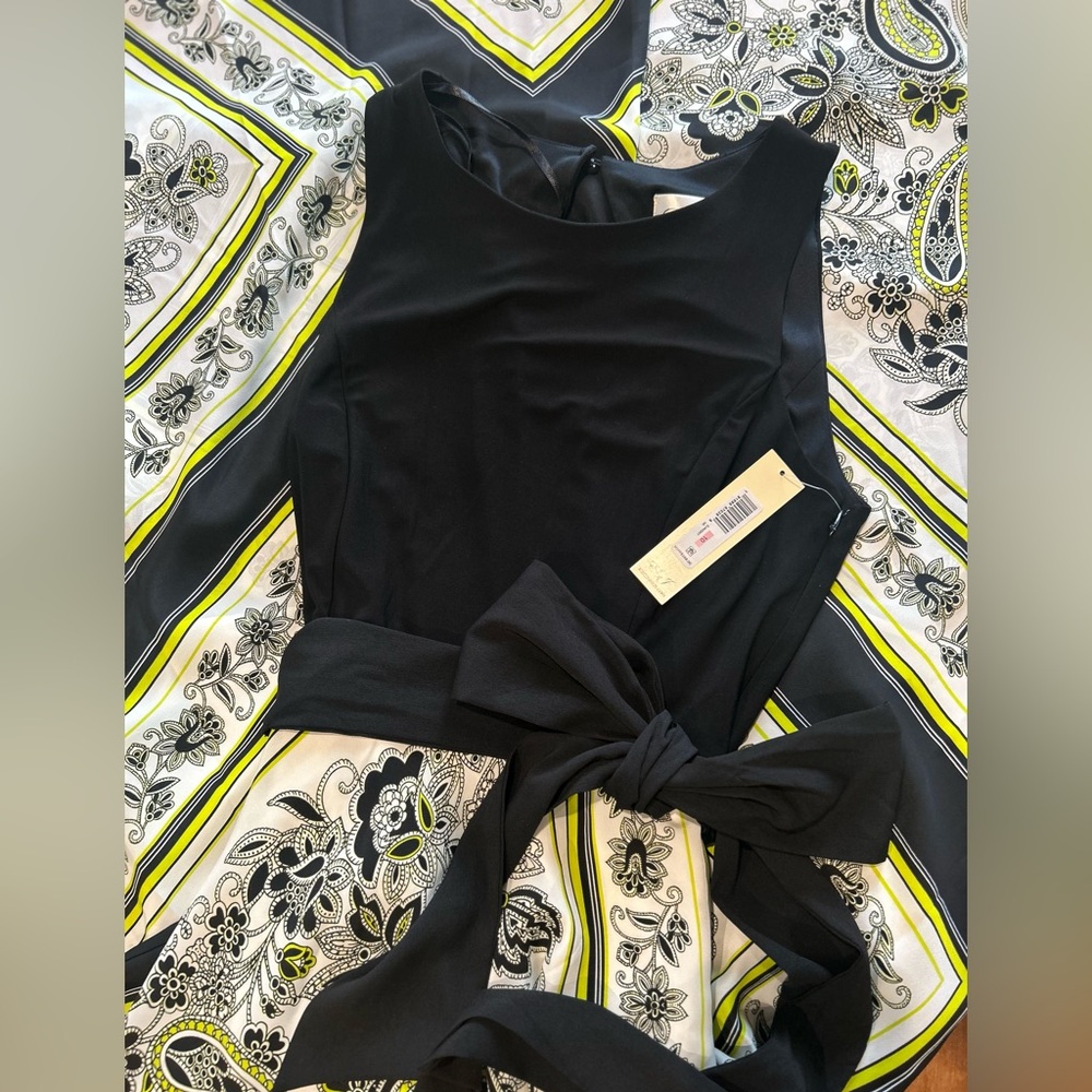 Eliza J Black Sleeveless Dress with Bow Detail